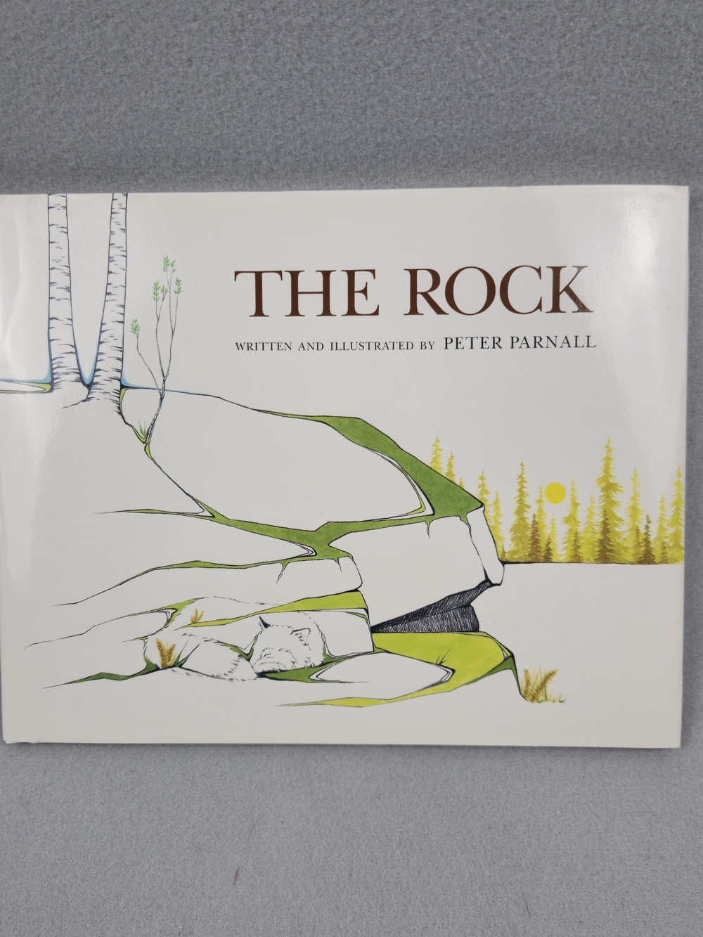 Peter Parnall The Rock 1991 First Edition Hardcover Childrens Book DJ